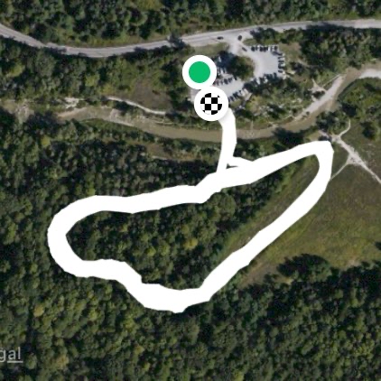 Snake Hill x 10