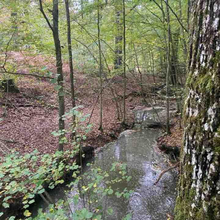 Route des Basses Masures