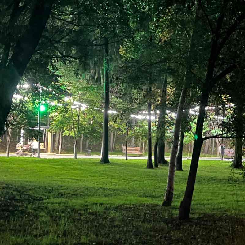 Бежать парк