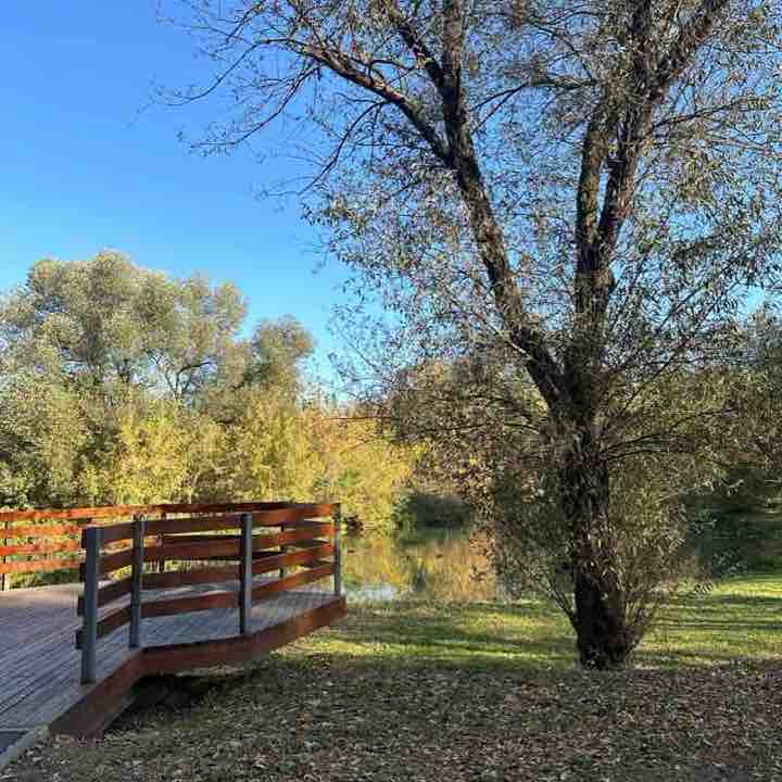 Баташевский сад