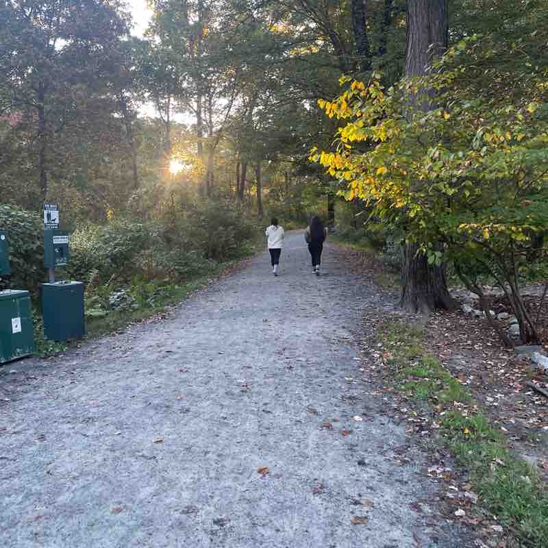 Rockefeller state park