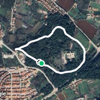Forrest Run