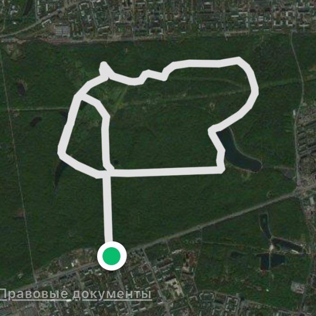 Измайловский лесопарк