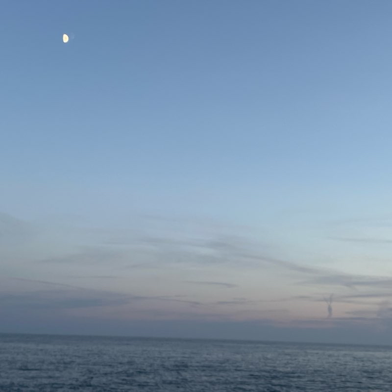 Прогулка 🚶‍♂️