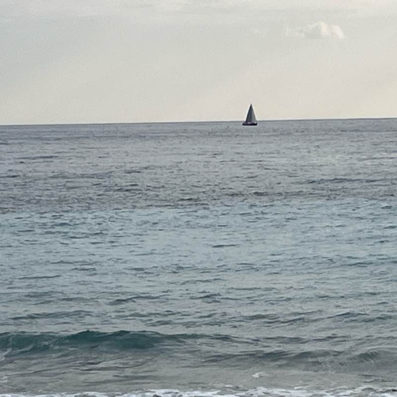 Прогулка 🚶‍♂️