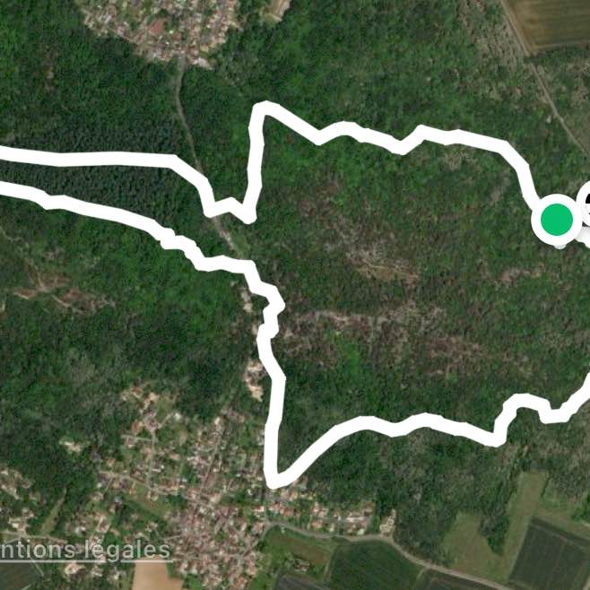 Forêt des grands avaux