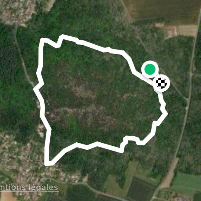 Forêt des grands avaux (petit tour)