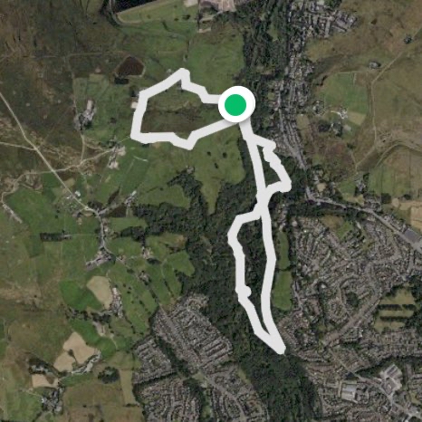 Healey Dell circular walk