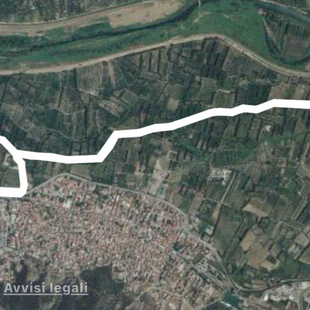 Via giardini 🍊🍊inizia la maturazione