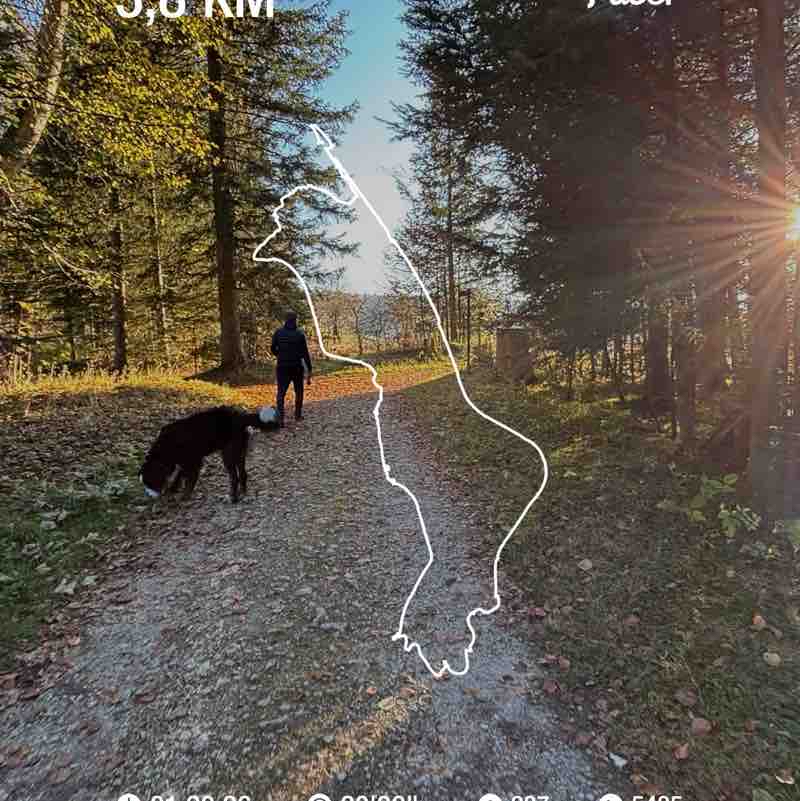 Sentier nature Combe-Girard