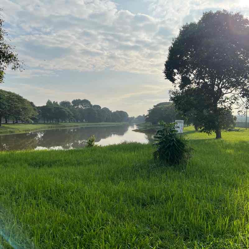 BBR Under Bridge Park