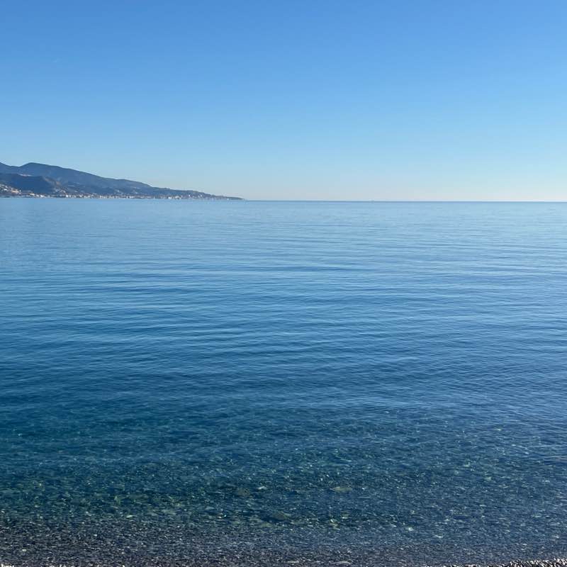 Прогулка 🚶‍♂️