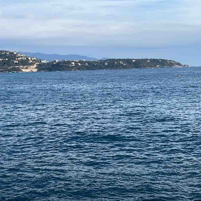 Прогулка 🚶‍♂️