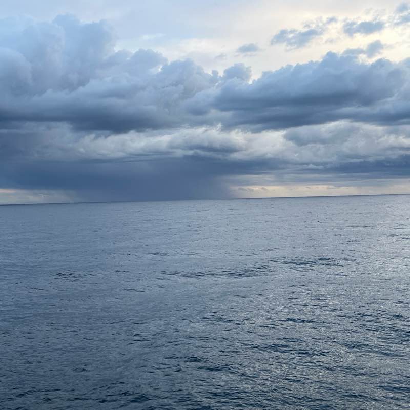 Прогулка 🚶‍♂️