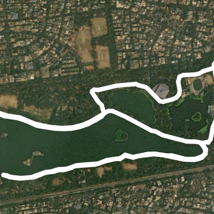 Tuesday Morning Walk 🏃‍♂️