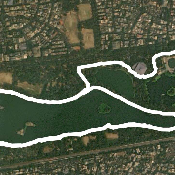 Wednesday Morning Walk