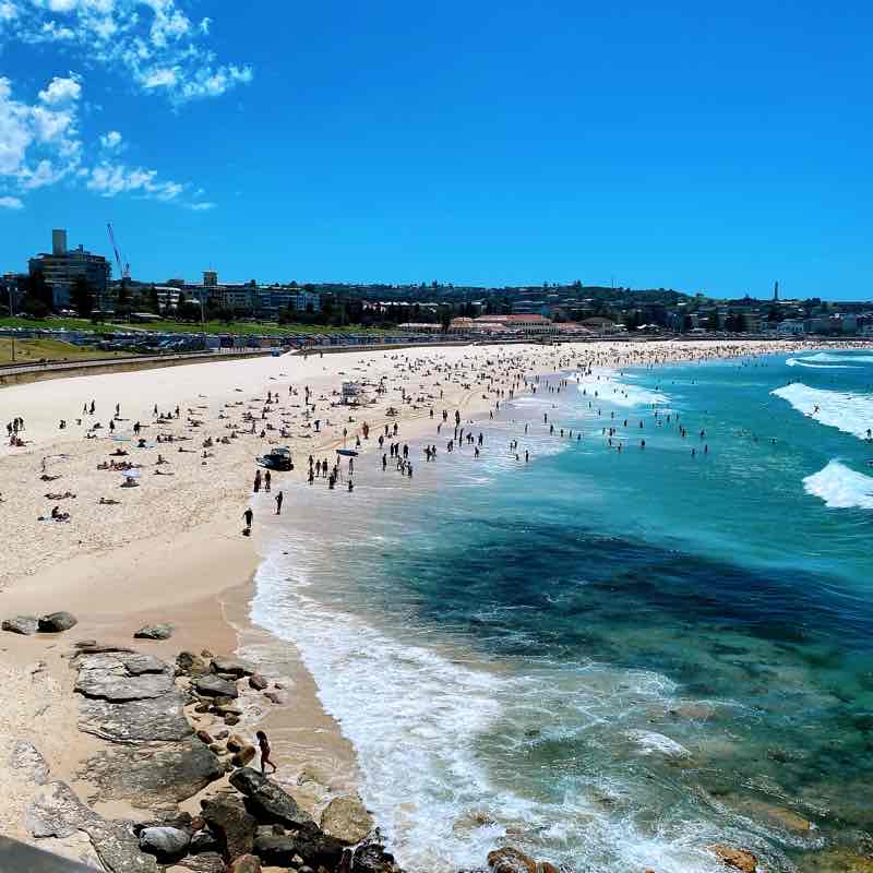 Coogee to Bondi