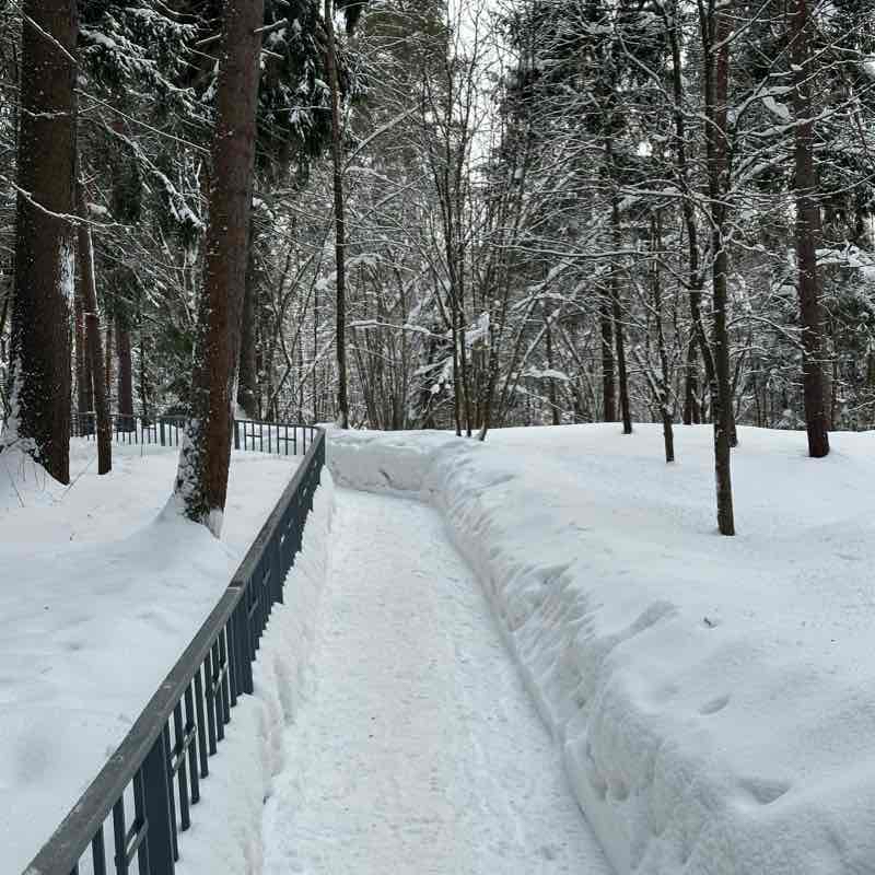 ЛЕСНАЯ СКАЗКА