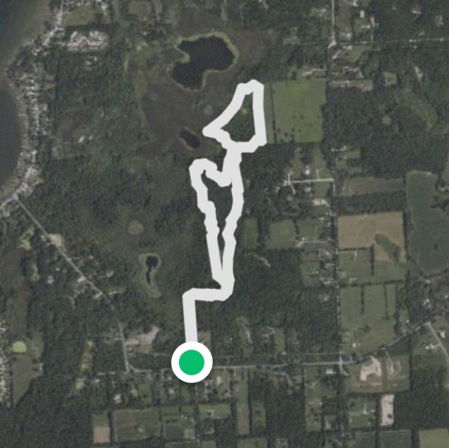 Whitmore Lake Nature Preserve Loop