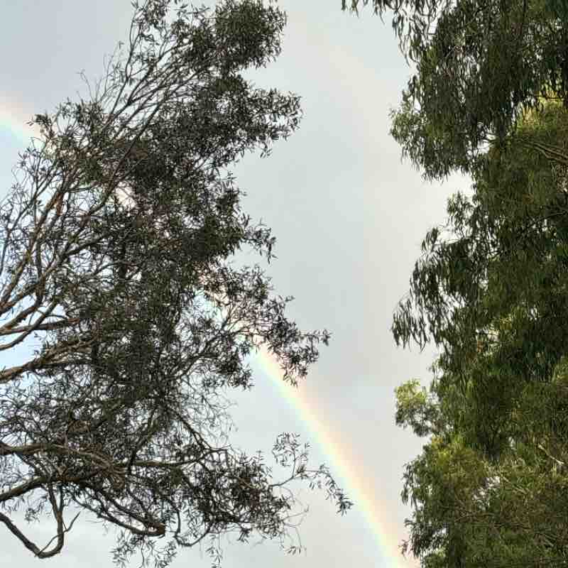 Wakerley Parks and Hills.