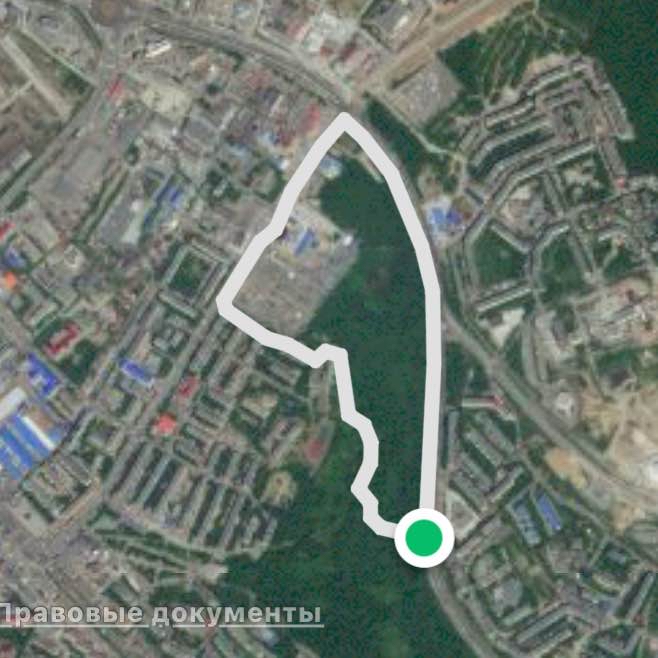 Вокруг рощи