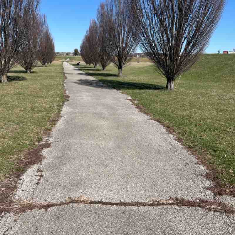 My walk