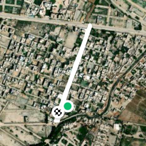 Professor Colony Larkano