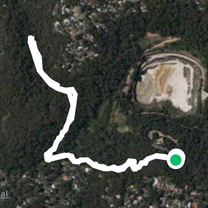 Hornsby Blue Gum Walk - Dog Friendly Section