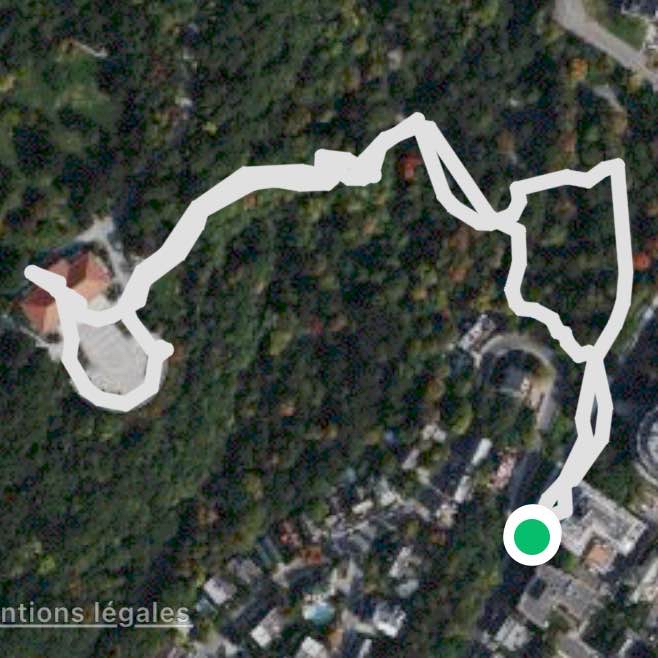 Les marches du mont-Royal