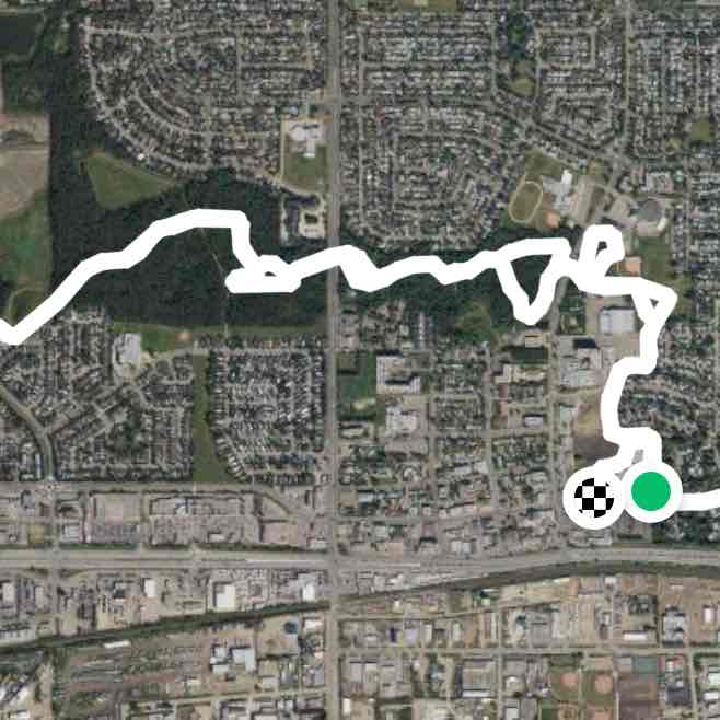 Spruce grove