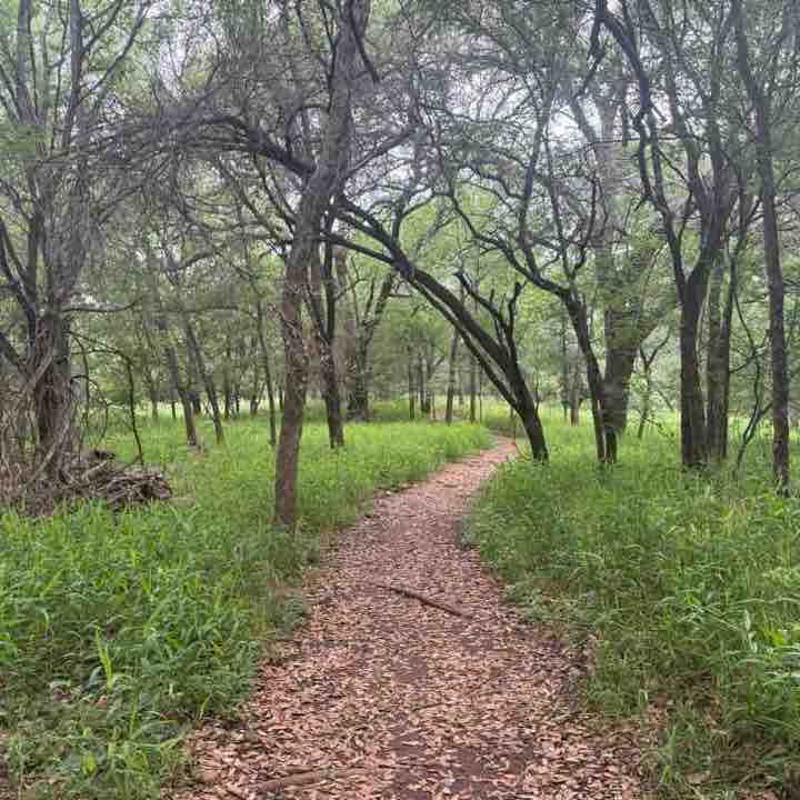 Lower Purgatory Creek