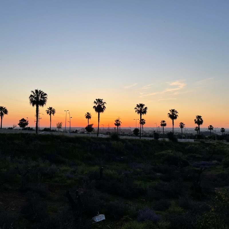 Avda. de las Universidades (norte)