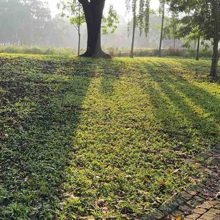 Bishan Ang Mo Kio park