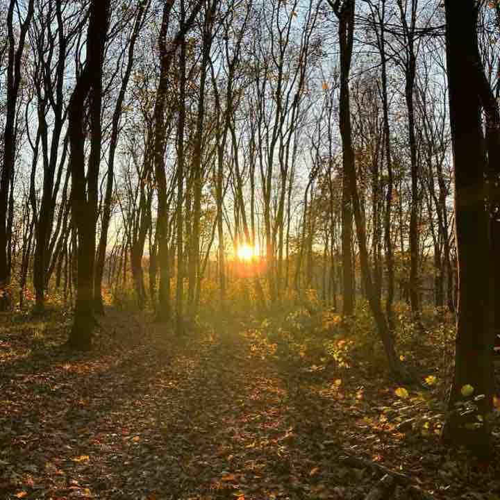 Парк імені Папи Римського Івана Павла II