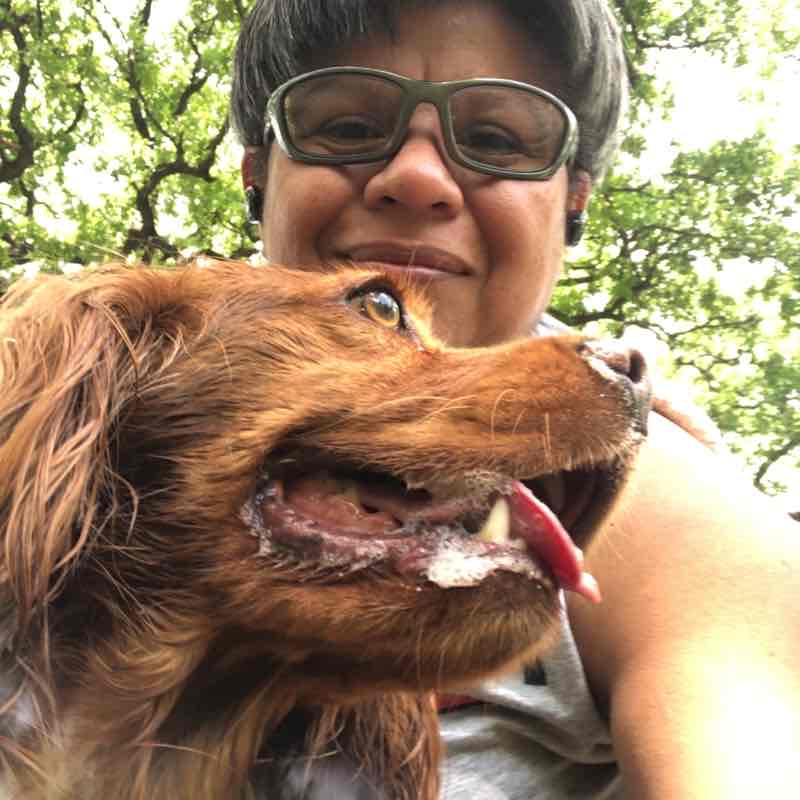 Lili’s morning walk