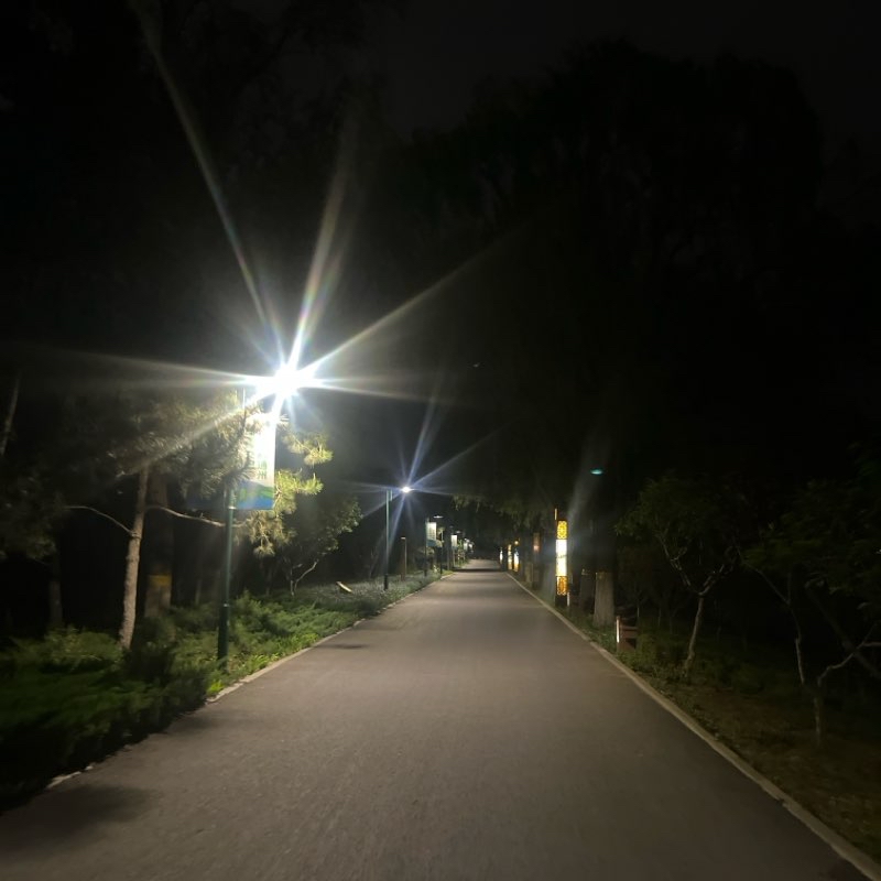 大运河森林公园北堤