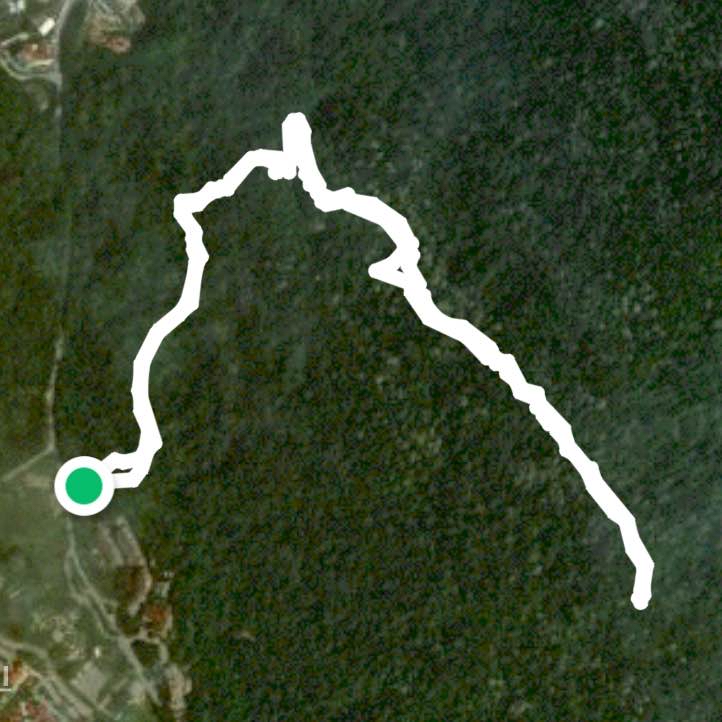 Bukit 300