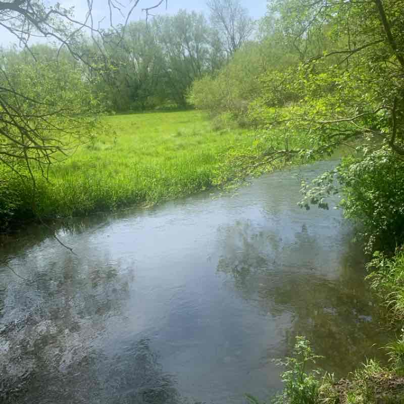 Lullingstone to Shoreham