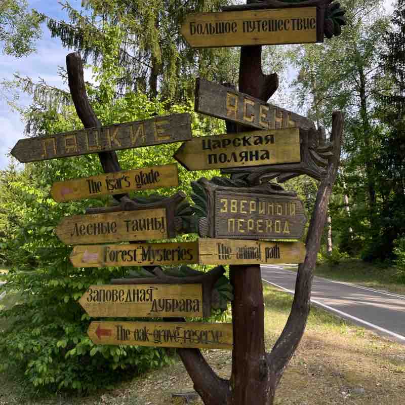 Беловежская пуща