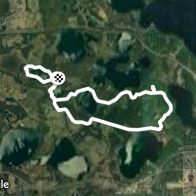 Sunny Tamarack Loops