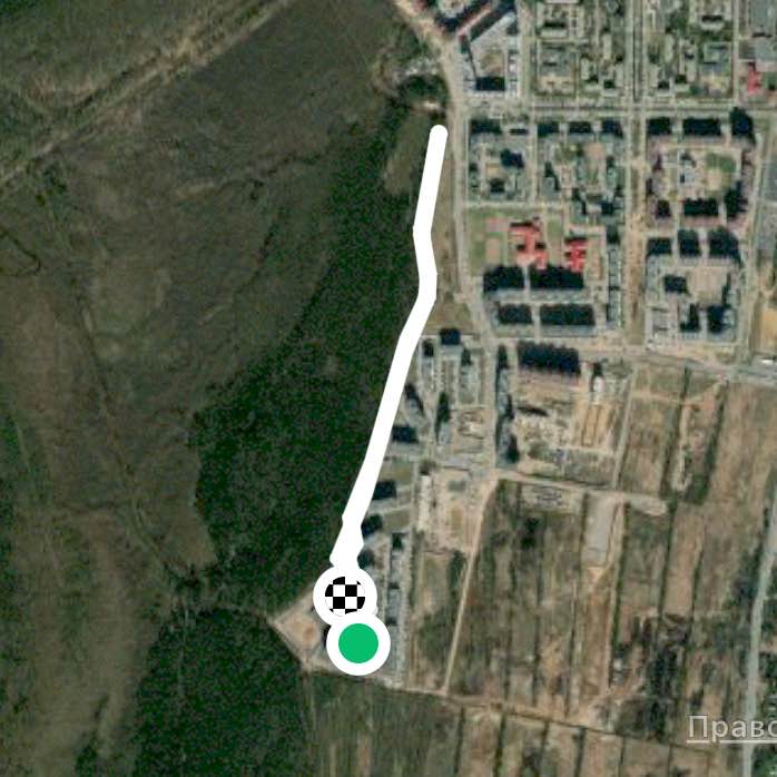 2 км лесопарк