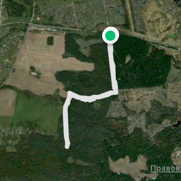 Лесная дорога