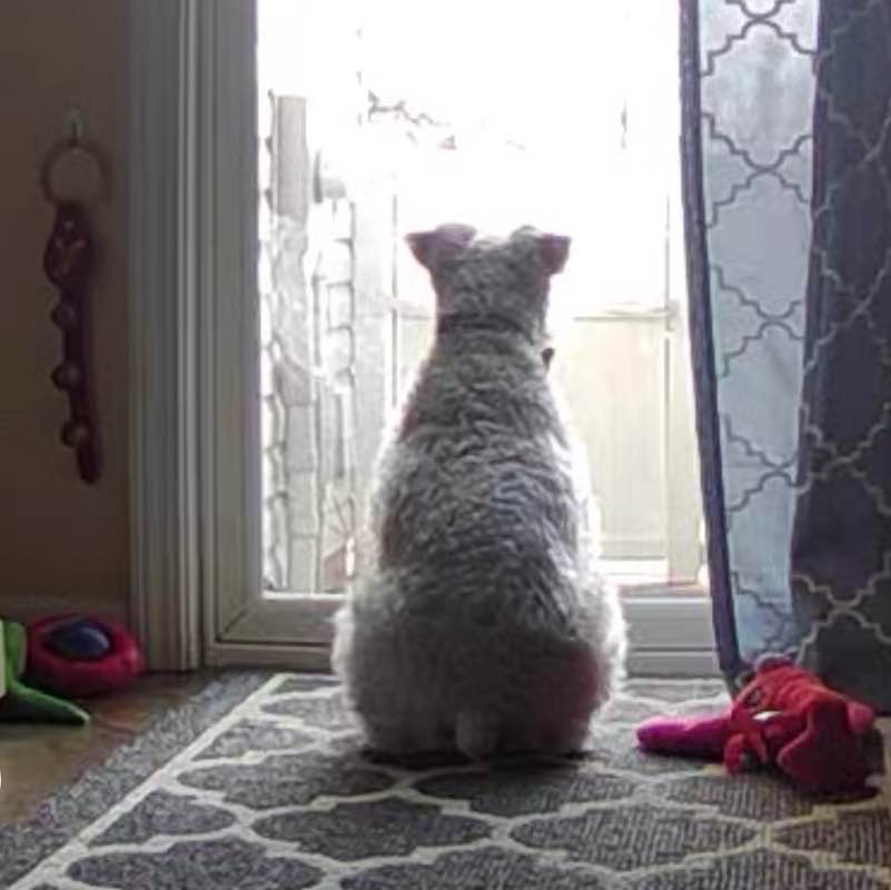 Including all of Tyndale