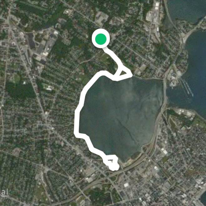 Back Cove Trail