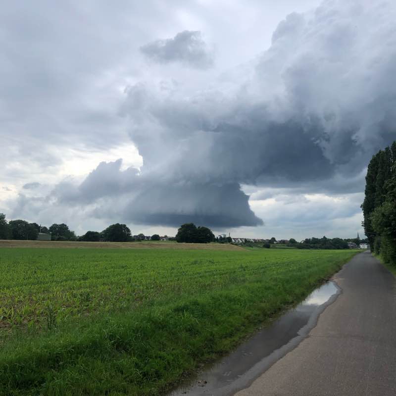 Von Graurheindorf nach Hersel Route