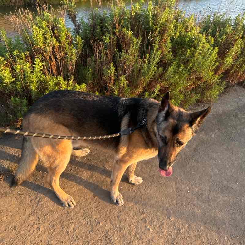 Axl Back Bay Sat 20240615