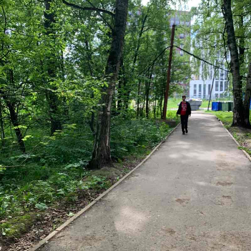 Маршрут чистоты по тропе здоровья ЖК «Скандинавии»