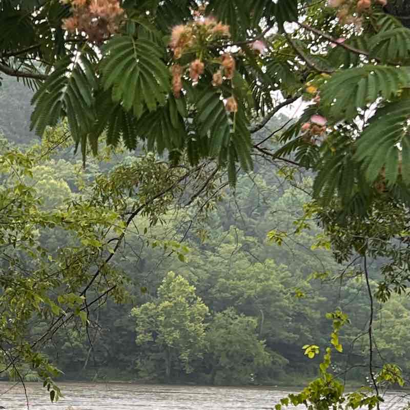 Chattahoochee River Walk