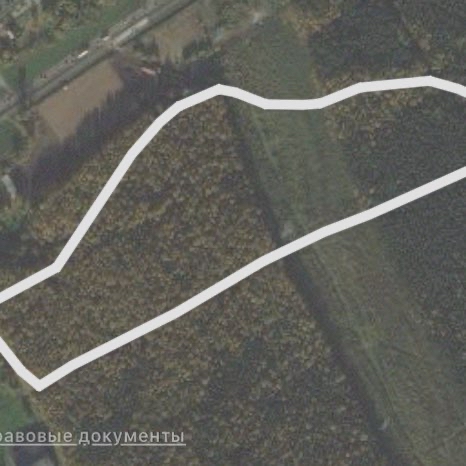 Лесопарк 2км