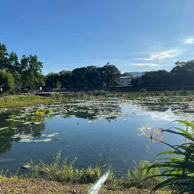 東勢林業文化園區